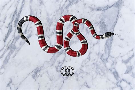 white gucci snake|Gucci snake meaning.